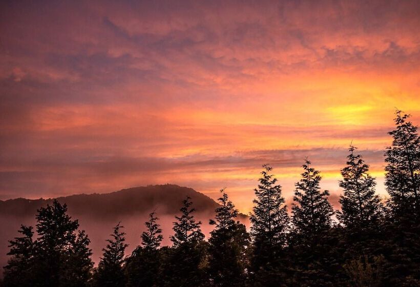 Hickory Nut Hideaway By Avantstay Mountain Views