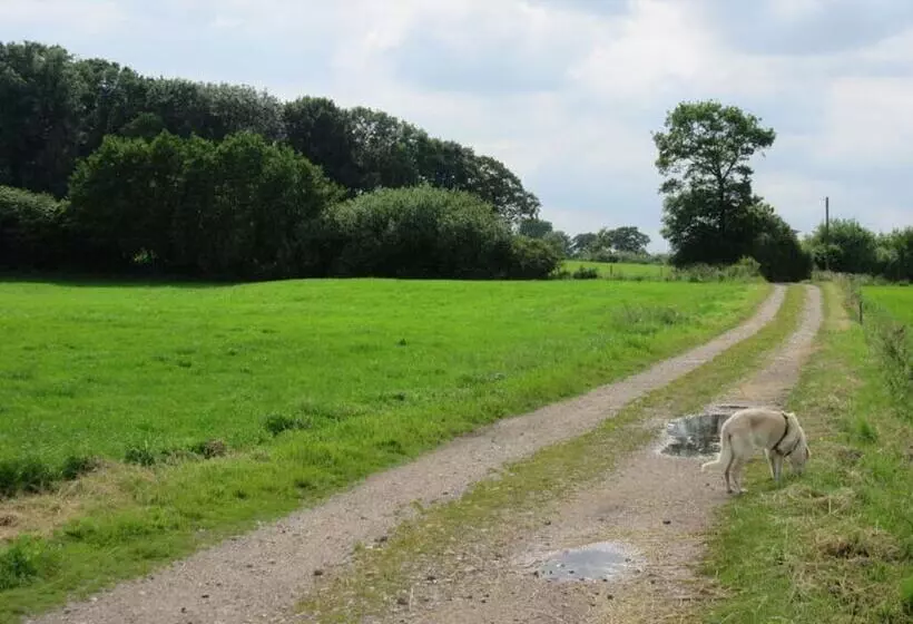 Hogelia Comfortable Holiday Residence