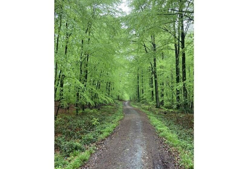 Hogelia Comfortable Holiday Residence