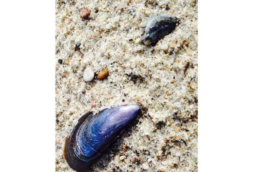 ホテル Lasse Comfortable Holiday Residence