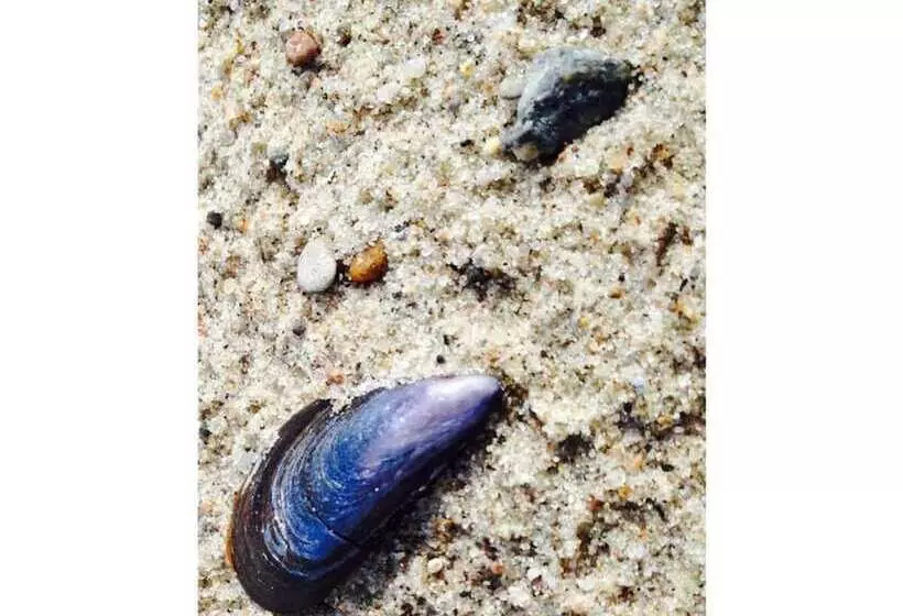 ホテル Lasse Comfortable Holiday Residence