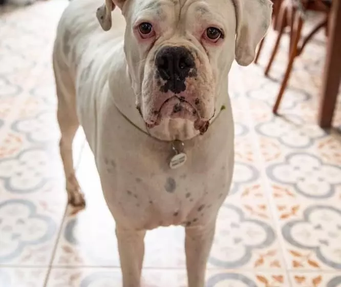 Hotelli O Vilarejo  Hospedaria E Gastronomia