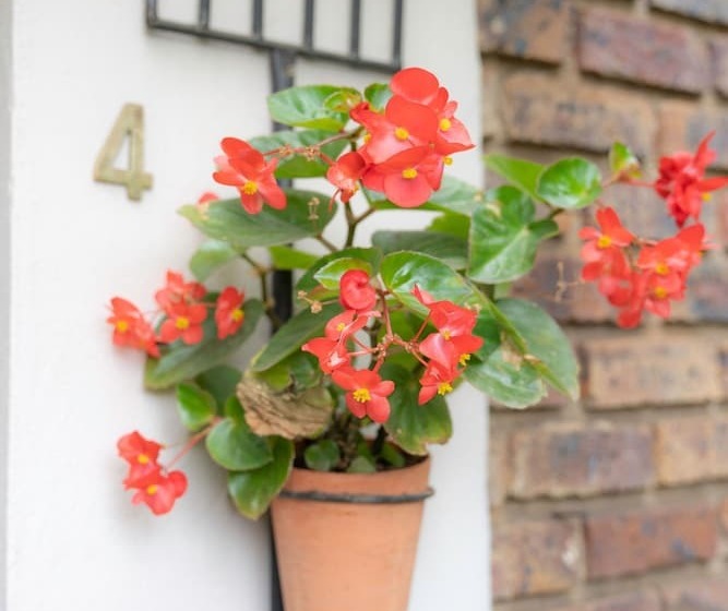 Pension Landa Guesthouse Self Catering Feel At Home And Enjoy Our Delicious Food