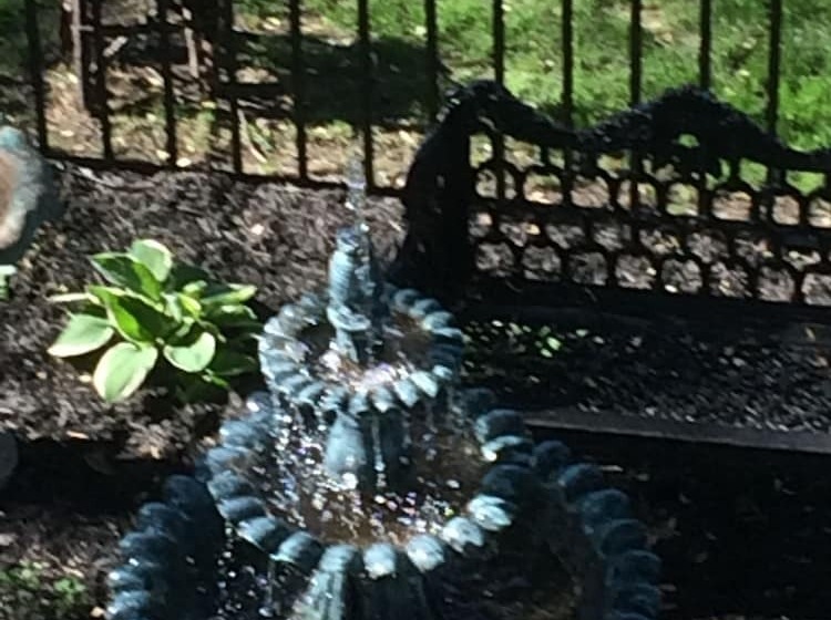 Bed and Breakfast The Ginkgo Tree