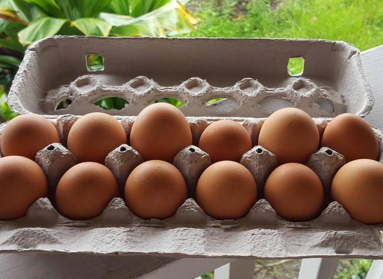 ベッドアンドブレックファースト Hale Hualalai