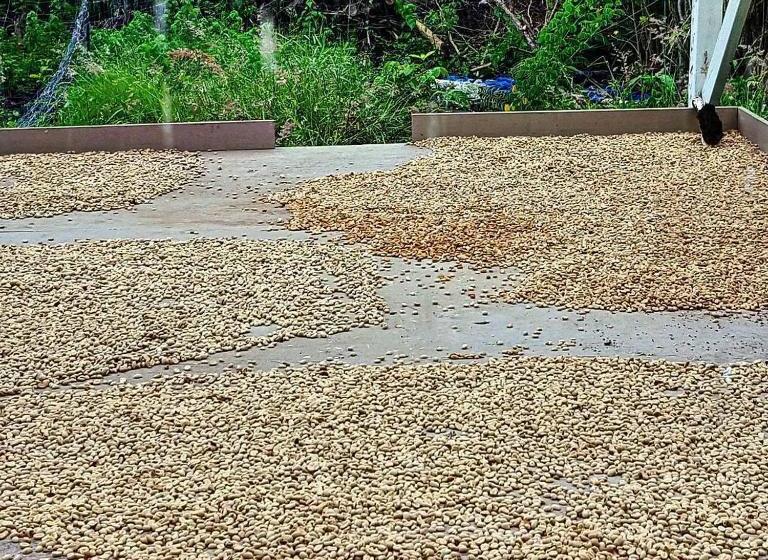 ベッドアンドブレックファースト Hale Hualalai