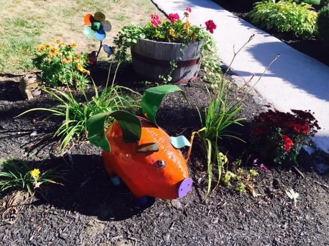 مبيت وإفطار Puffin Inn