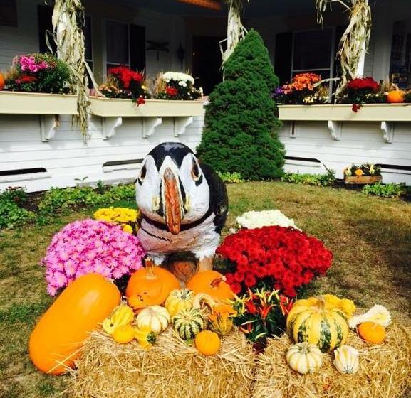 مبيت وإفطار Puffin Inn