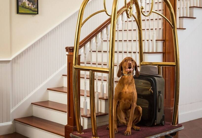 فندق 16 Bay View