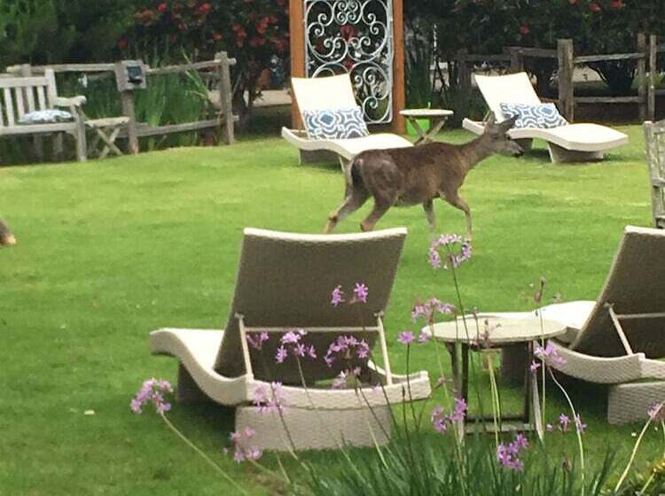 فندق Andril Fireplace Cottages