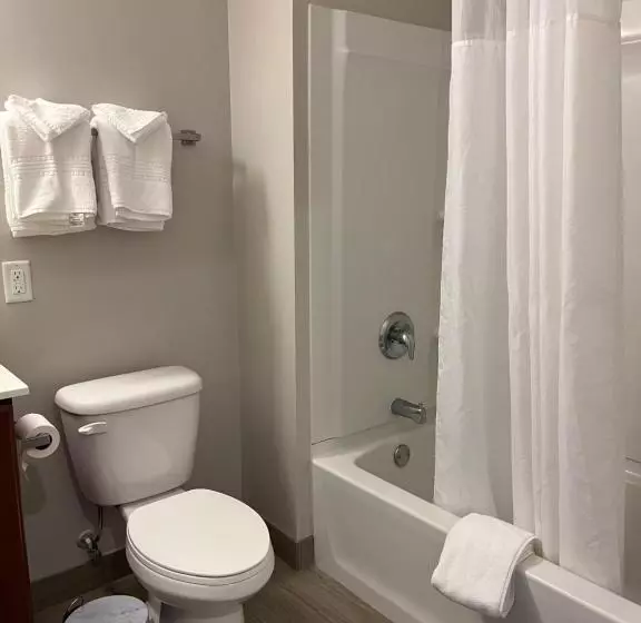 ホテル Brinton Suites