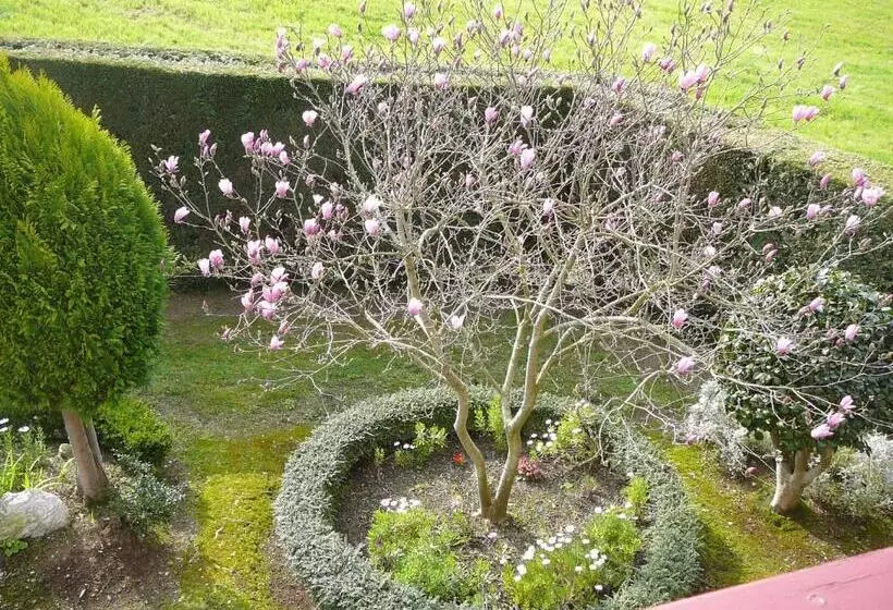 Hotelli El Pinar