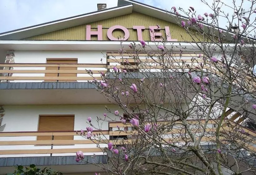 Hotelli El Pinar