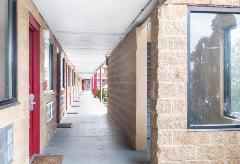 בית מלון כפרי Global Inn Edison