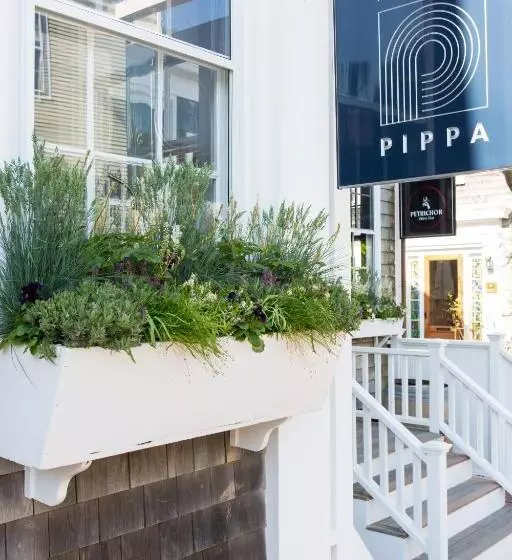 هتل Pippa