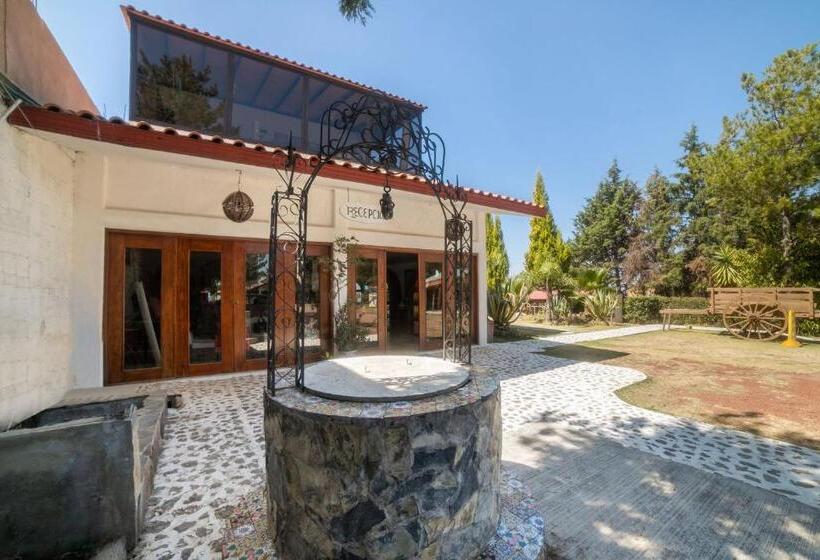 Hotel Xiadani Restaurante, Temazcal & Spa