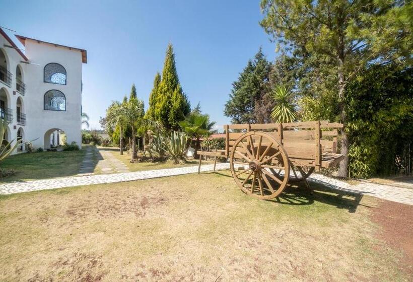 Hotel Xiadani Restaurante, Temazcal & Spa