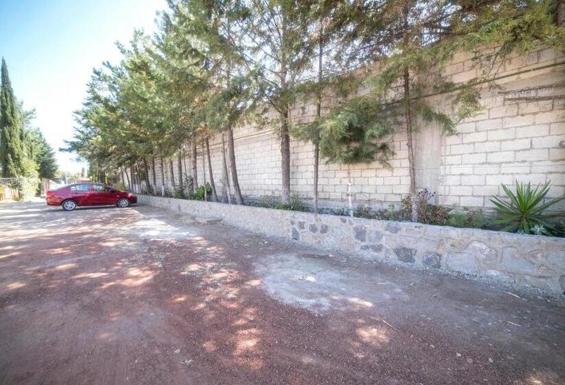 Hotel Xiadani Restaurante, Temazcal & Spa