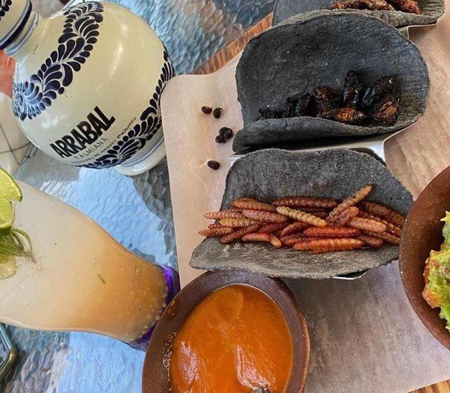 Hotel Xiadani Restaurante, Temazcal & Spa