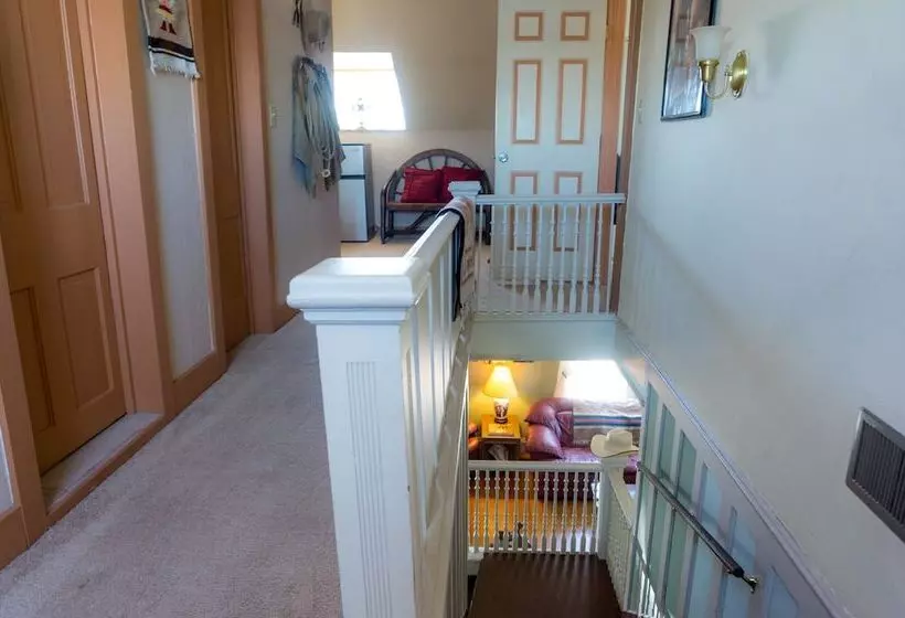 Indiana Jones Bed & Breakfast