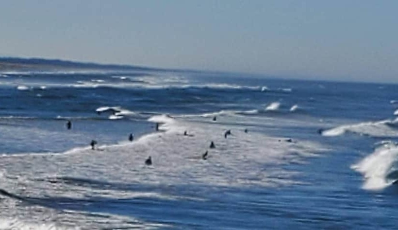 فندق على الطريق Mariners Cove Inn