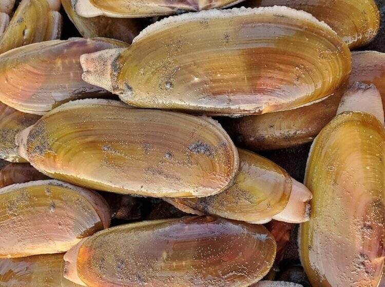 모텔 Mariners Cove Inn