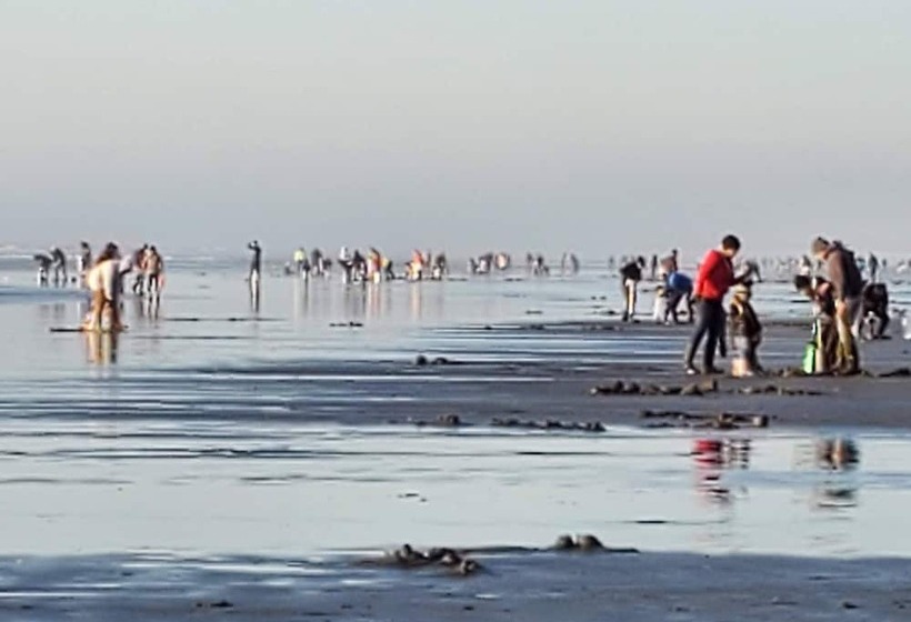 모텔 Mariners Cove Inn