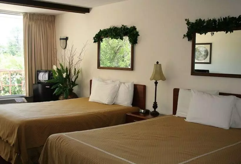 モーテル Passion Play Road Inn   Formerly Statue Road Inn