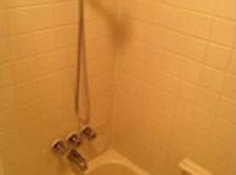 Мотель Sawmill Rentals