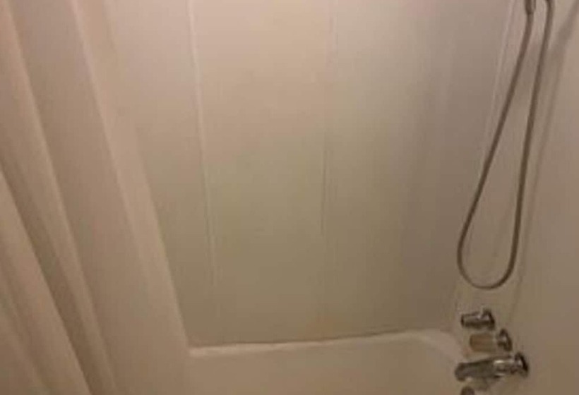 Мотель Sawmill Rentals