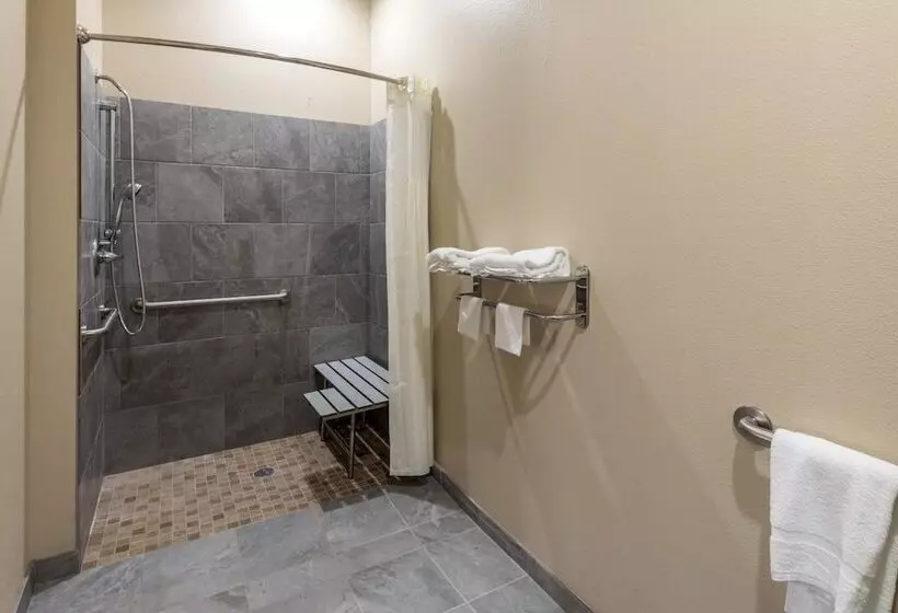 モーテル Scottish Inns & Suites