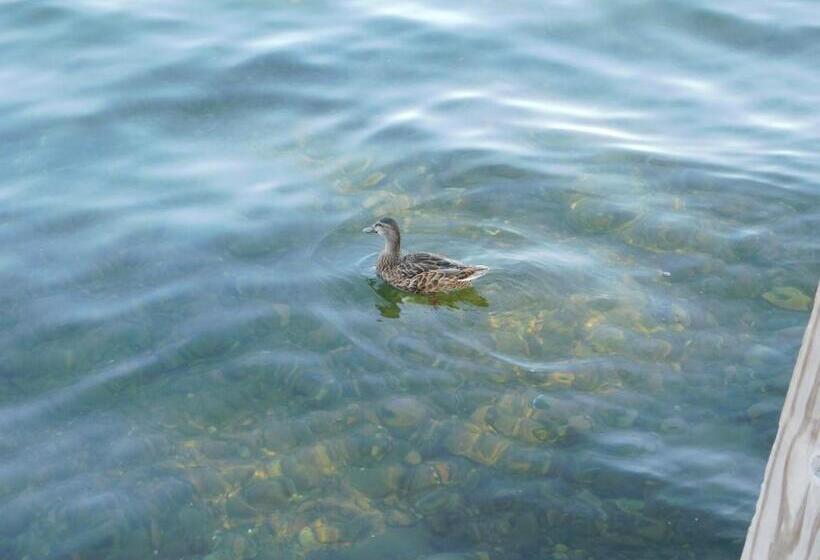 Olympian Resort Motel