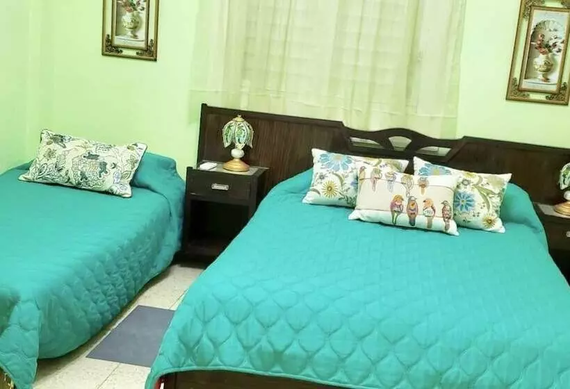 ベッドアンドブレックファースト Hostal Nelson Y Consuelo