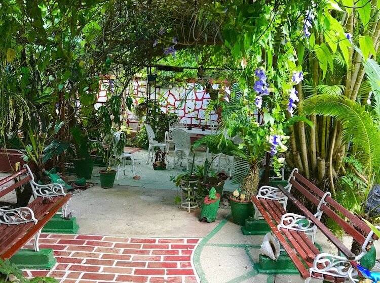 تختخواب و صبحانه Hostal Nelson Y Consuelo