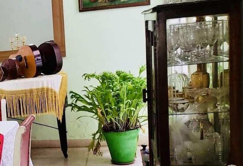 تختخواب و صبحانه Hostal Nelson Y Consuelo