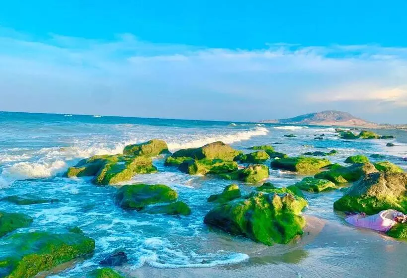 تختخواب و صبحانه Nhà Xinh Sơn Hải Ninh Thuận Homestay