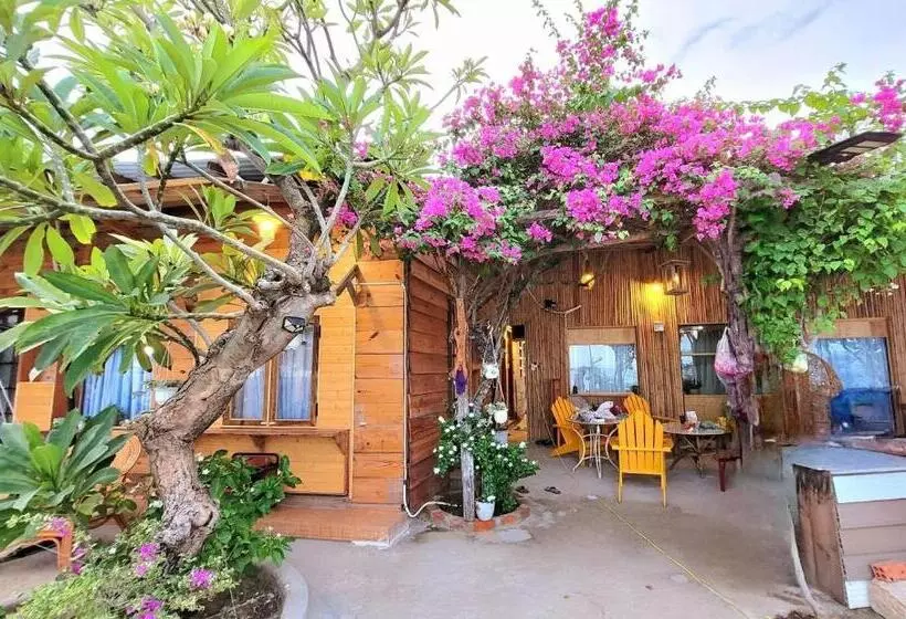 تختخواب و صبحانه Nhà Xinh Sơn Hải Ninh Thuận Homestay