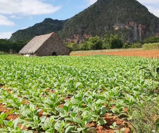 پانسیون Casa El Almendro Maritza Y Omar