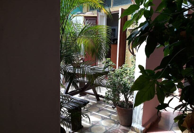 پانسیون Hostal Rosa Helena