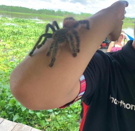 旅馆 Capinuri Expeditions