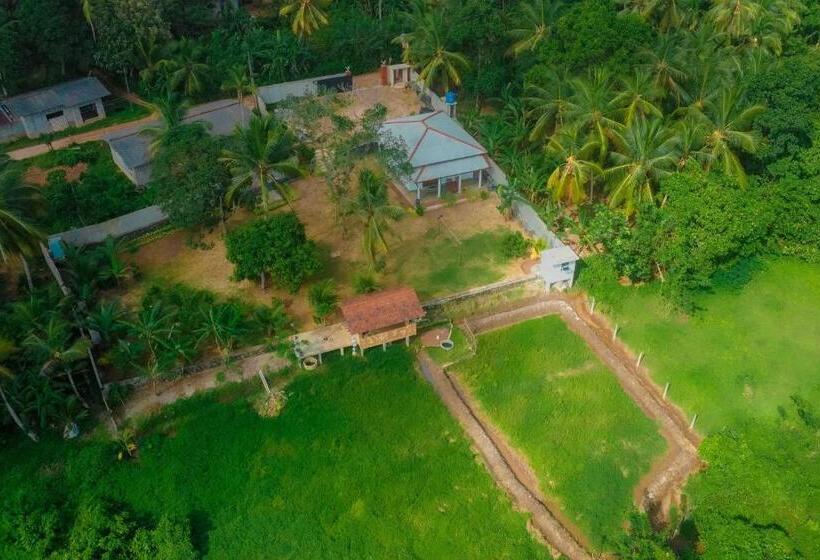 Bed & Breakfast Eagle Resort