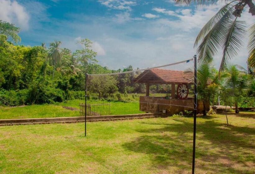 Bed & Breakfast Eagle Resort