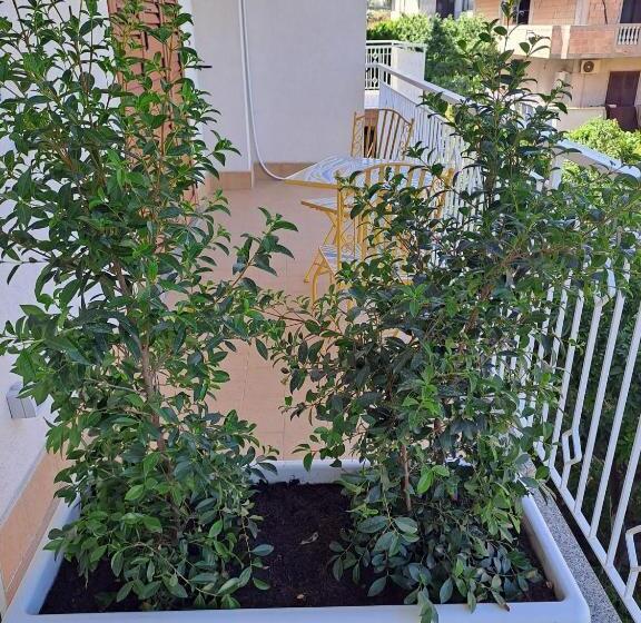 Bed and Breakfast Maraneri Rooms