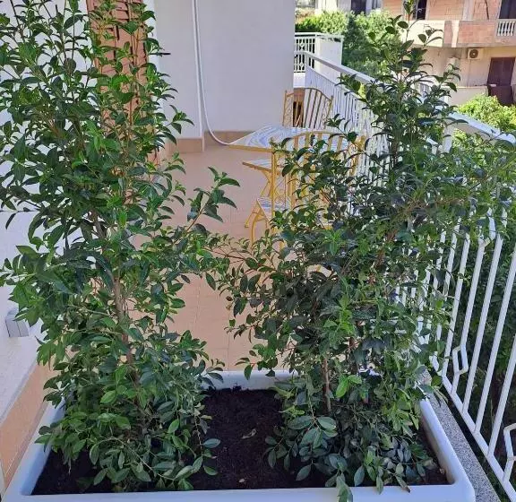 ベッドアンドブレックファースト Maraneri Rooms