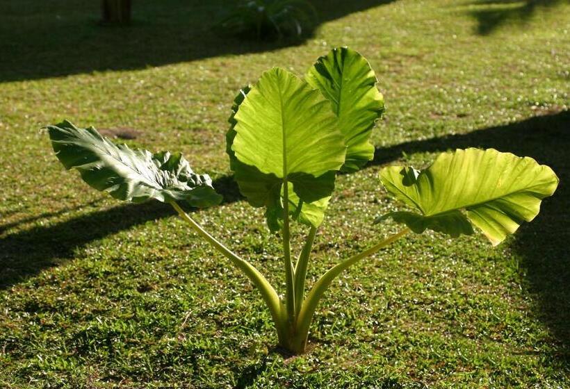 هتل Baboo Village