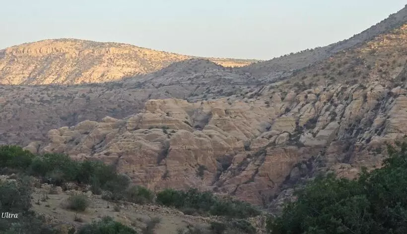 هتل Dana Horizon