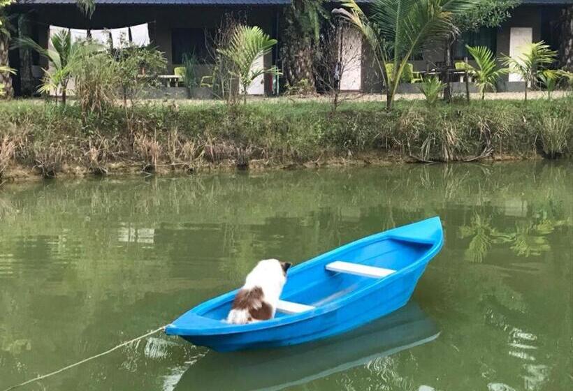 Отель Phang Nga Farmstay