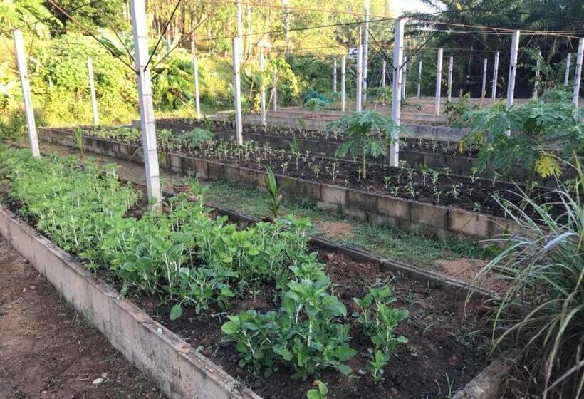Отель Phang Nga Farmstay