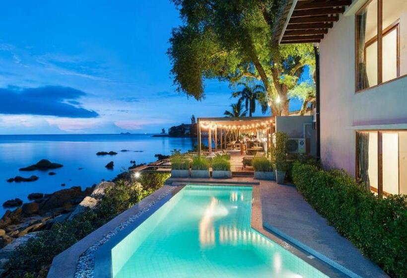 בית מלון כפרי Tamarina Bed & Beyond