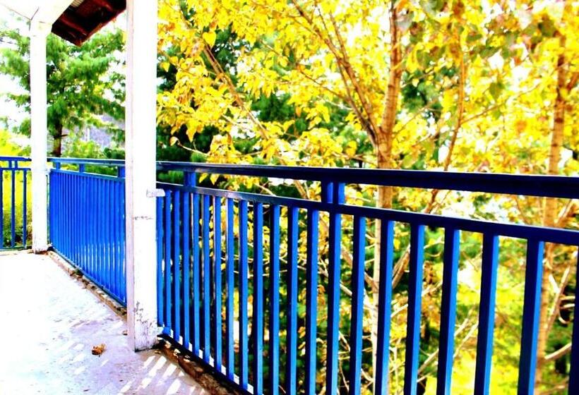 پانسیون Gold N Silver Inn Nathia Gali